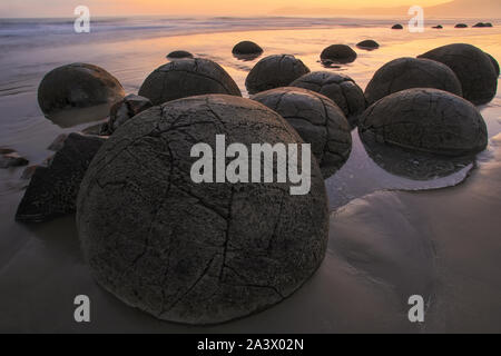 Moeraki Boulders à l'aube sur Koekohe Plage, Otago, île du Sud, Nouvelle-Zélande. Banque D'Images