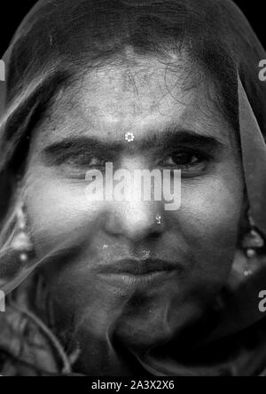 Portrait d'une femme cache son visage du Rajasthan en vertu d'un sari, Rajasthan, Jaisalmer, Inde Banque D'Images