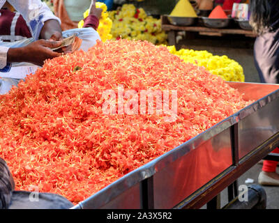 MYSURU (Mysore),KARNATAKA INDE/Février 2018:13-vendeur de fleurs argent comptant du flower stall,Devaraja,marché,Mysore Karnataka. Banque D'Images