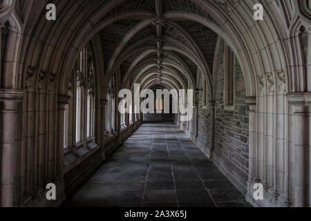 Arches cloître sur le campus de l'Université de Princeton Banque D'Images