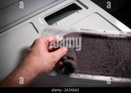 Nettoyage des mains accumulation de peluches dans le piège du sèche-linge. Banque D'Images
