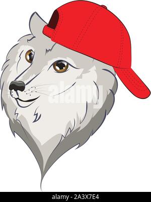 Cute cartoon wolf dans une casquette de baseball illustration sur fond blanc. Illustration de Vecteur