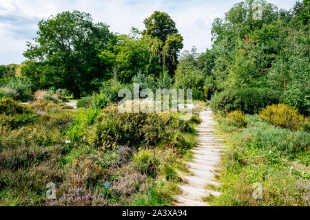 MÜNSTER/ALLEMAGNE - Août 2019 : Le jardin botanique dans le centre ville de Münster, près de WWU University Building Banque D'Images