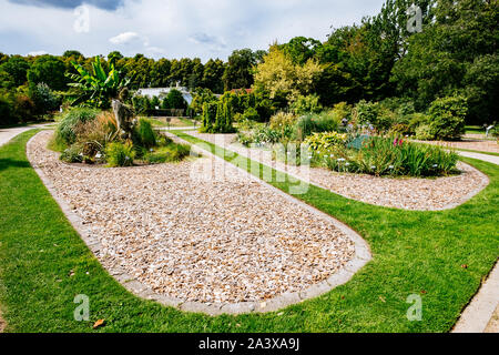 MÜNSTER/ALLEMAGNE - Août 2019 : Le jardin botanique dans le centre ville de Münster, près de WWU University Building Banque D'Images