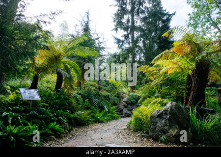 MÜNSTER/ALLEMAGNE - Août 2019 : Le jardin botanique dans le centre ville de Münster, près de WWU University Building Banque D'Images