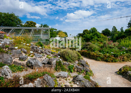 MÜNSTER/ALLEMAGNE - Août 2019 : Le jardin botanique dans le centre ville de Münster, près de WWU University Building Banque D'Images