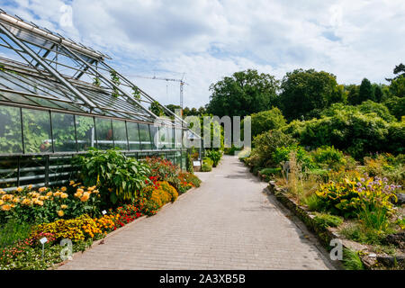 MÜNSTER/ALLEMAGNE - Août 2019 : Le jardin botanique dans le centre ville de Münster, près de WWU University Building Banque D'Images