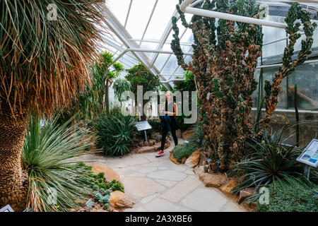 MÜNSTER/ALLEMAGNE - Août 2019 : Le jardin botanique dans le centre ville de Münster, près de WWU University Building Banque D'Images