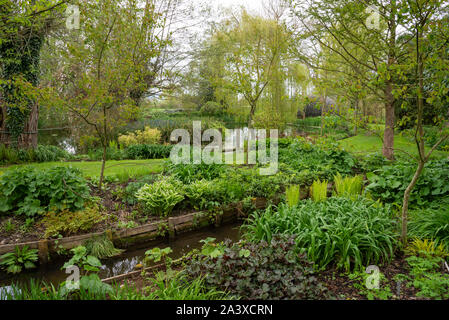 Westonbury Mill water gardens, Herefordshire, Angleterre. Banque D'Images