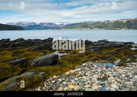 Plage de Norris Point avec vue sur le fjord des Tablelands et le parc national du Gros-Morne, à Terre-Neuve Banque D'Images