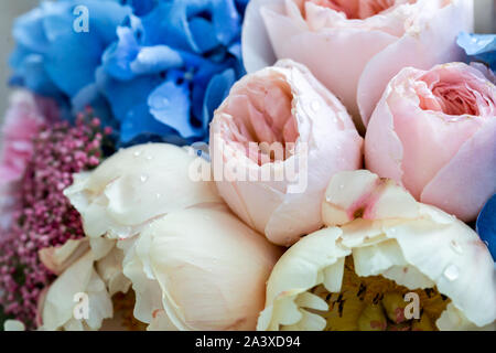 Beau bouquet de fleurs avec une crème rose et pivoines. Fond de fleurs de pivoine doux. Banque D'Images