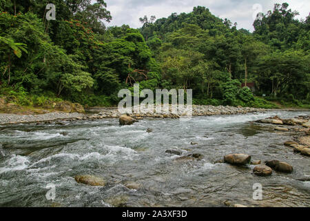 Rivière près de Bukit Lawang Bahorok village dans le Nord de Sumatra, en Indonésie. Banque D'Images