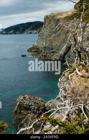 Les randonneurs sur une falaise au loin sur le sentier Skerwink, Newfoundland, Canada Banque D'Images