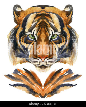 Tête de tigre. Aquarelle peinte à la main illustration isolé sur fond blanc Banque D'Images