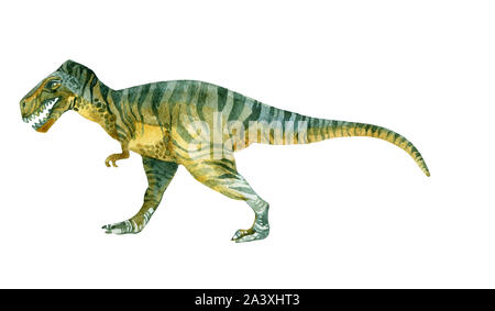 Tyrannosaurus rex. Aquarelle illustration Dinosaure Banque D'Images