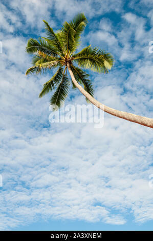 Cocotier arbre et nuages dans le ciel bleu ; la Côte de Corail (Fidji). Banque D'Images