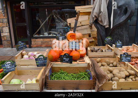 Les légumes bio de saison pour la vente sur un marché européen. Potiron, pommes de terre, haricots verts, Rutabagas, betteraves, l'oignon, les échalotes, les carottes et le fenouil. Banque D'Images