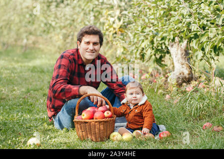 Happy father with baby boy on ferme la cueillette des pommes dans le panier en osier. Collecte d'automne automne récolte en verger. Père Fils d'alimentation avec collation santé. S Banque D'Images