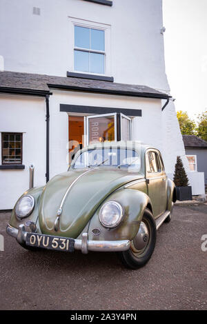 Claqué abaissé light green classic 1960 Volkswagen Beetle Banque D'Images