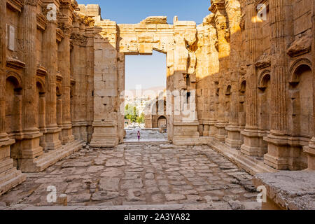 L'intérieur, Temple de Bacchus, Baalbeck, vallée de la Bekaa, au Liban Banque D'Images