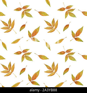 Feuilles d'automne à la main motif transparent Banque D'Images