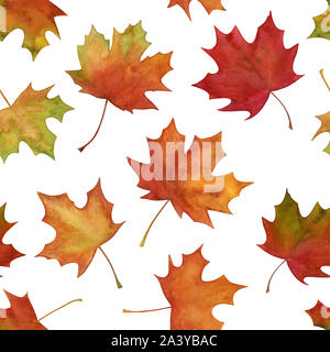 Feuilles d'érable colorées à la main motif transparent Banque D'Images