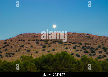 Si vous aimez vraiment la nature, vous trouverez la beauté partout Banque D'Images