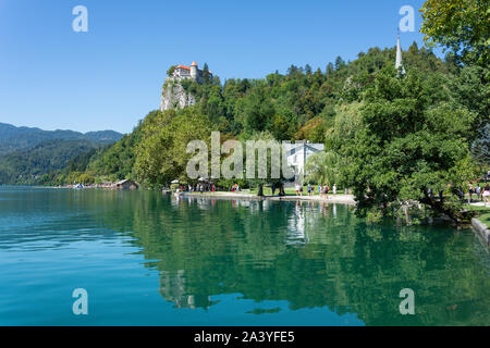 Vue de la rive et le château de Bled, le lac de Bled, Bled, Slovénie, la région de la Haute-Carniole Banque D'Images