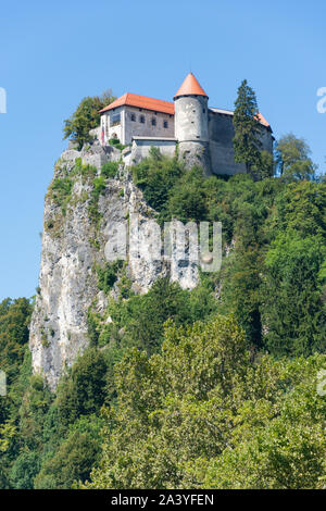 Vue de la rive et le château de Bled, le lac de Bled, Bled, Slovénie, la région de la Haute-Carniole Banque D'Images