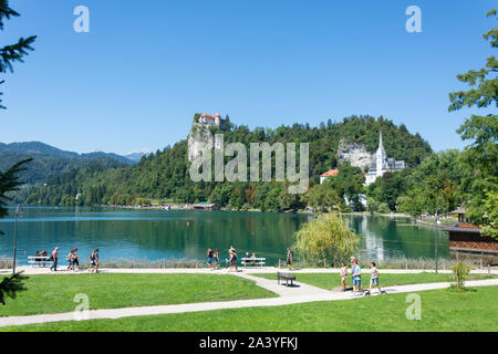 Vue de la rive et le château de Bled, le lac de Bled, Bled, Slovénie, la région de la Haute-Carniole Banque D'Images