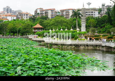 XIAMEN, CHINE -14 JUIN 2019- Vue de la Nanputuo (South Putuo), un temple bouddhiste de la dynastie Tang situé à par le campus de Xiamen University Banque D'Images