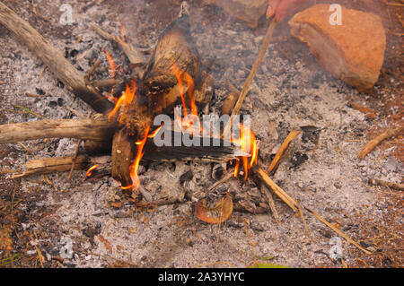 Une personne se déplace avec un bâtonnet de bois le feu qui a allumé dans le domaine de la nourriture et chaleur rôti avec le feu. Banque D'Images