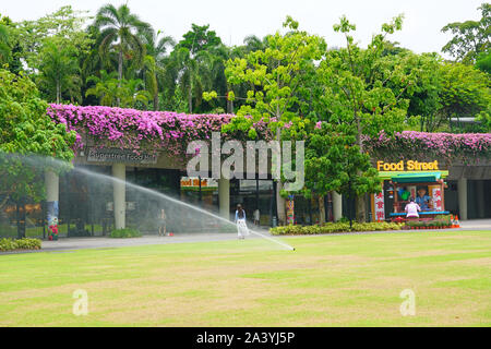 Août 2019 SINGAPOUR -25- vue sur les jardins de la baie et le Marina Bay Sands zone sur la baie face à Singapour. Banque D'Images