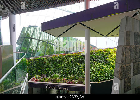 Août 2019 SINGAPOUR -25- vue sur les jardins de la baie et le Marina Bay Sands zone sur la baie face à Singapour. Banque D'Images