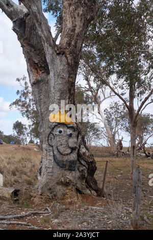 Une face avec couronne peinte sur une loupe d'un vieil arbre. Banque D'Images