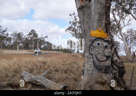 En gros une image d'un visage peint sur la loupe d'un vieil arbre à côté d'une route rurale à Attunga l'Australie. Banque D'Images