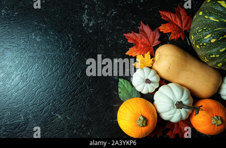 Chasse d'automne, assortiment varié de citrouilles sur une table de marbre noir compteur. Banque D'Images