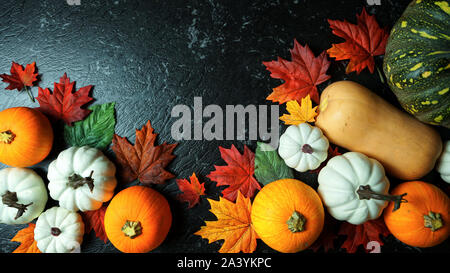 Chasse d'automne, assortiment varié de citrouilles sur une table de marbre noir compteur. Banque D'Images