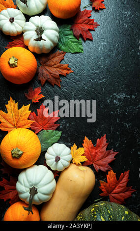 Chasse d'automne, assortiment varié de citrouilles sur une table de marbre noir compteur. Banque D'Images