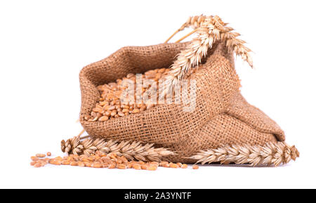 Spike de blé et le grain de blé en sac de toile isolé sur fond blanc Banque D'Images