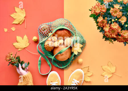 Mise à plat d'automne sur le corail et orange papier arrière-plan. Citrouilles Orange en vert sac-filet ou chaîne sac, toile jaune baskets. Les feuilles d'automne, ha Banque D'Images