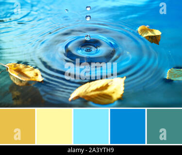 La palette des couleurs de l'automne à partir de l'image des feuilles d'automne dans l'eau chauffée, bagues de gouttes d'eau. Arrière-plan de l'automne en bleu, jaune et couleurs moutarde Banque D'Images