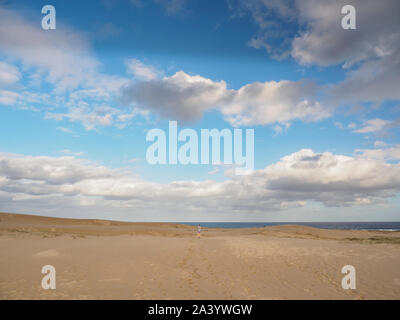 Plage de Myall Lakes National Park, Australie Banque D'Images