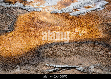 Orange et brun venant d'un frottis Hot Spring dans le Parc National de Yellowstone Banque D'Images