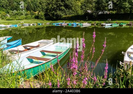 La MARINA D'AIGUEBELETTE-LE-LAC, Savoie (73), FRANCE Banque D'Images