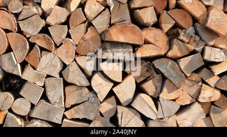 Pile de bois Le bois empilé pour sécher dans les tas de bois sur un pré vert Banque D'Images