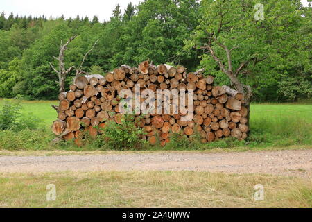 Pile de bois Le bois empilé pour sécher dans les tas de bois sur un pré vert Banque D'Images