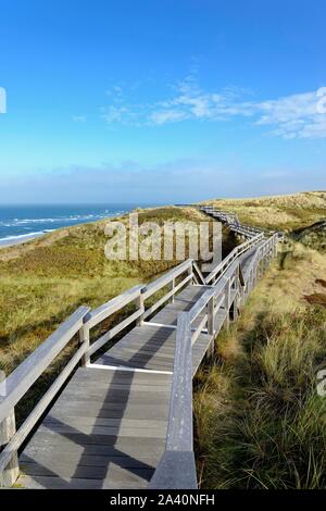 La promenade mène à travers les dunes de la plage de Wenningstedt, Sylt, au nord de l'île frisonne, Nort, Mer du Nord Frise, Schleswig-Holstein, Allemagne Banque D'Images