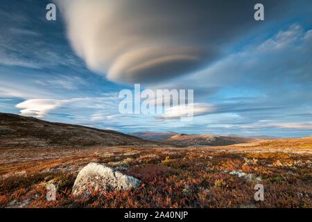 Paysage d'automne en Tundral Dovrefjell, Lenticularis nuages, Parc National de Dovrefjell-Sunndalsfjella, Hjerkinn, Norvège Banque D'Images