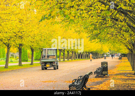 Responsable du parc arboré de la conduite dans une avenue à Regent's Park de Londres au Royaume-Uni Banque D'Images